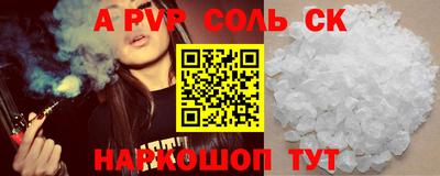 гашик Моздок