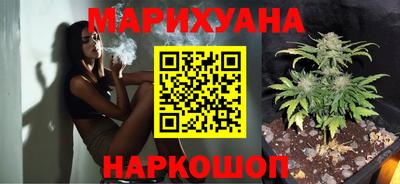 гашик Моздок