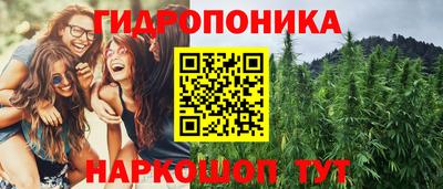 сатива Можайск