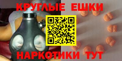 гашик Моздок
