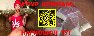 гашик Моздок