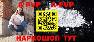 гашик Моздок
