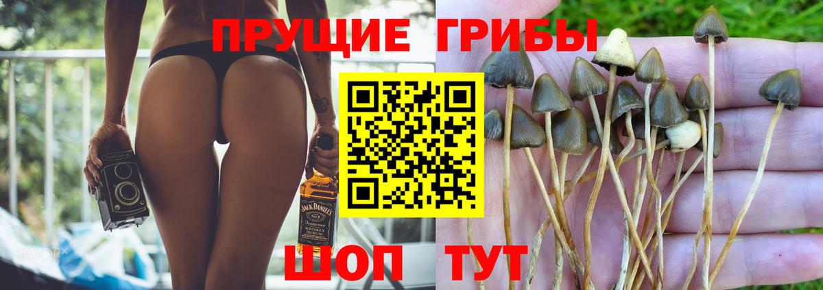 Псилоцибиновые грибы GOLDEN TEACHER  Галлюциногенные грибы Psilocybine cubensis  Вход с VPN  Учалы 